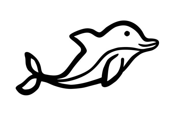 illustrations, cliparts, dessins animés et icônes de dauphin de dessin animé mignon peint à la main avec l’encre coup de pinceau - event