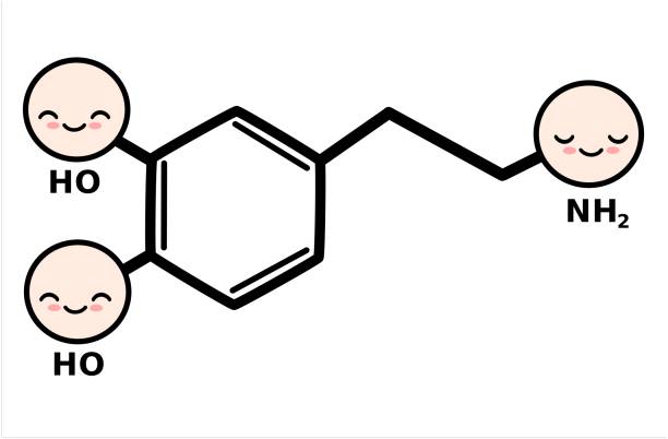 cute cartoon dopamine molecule structure vector illustration  cute dopamine stock illustrations