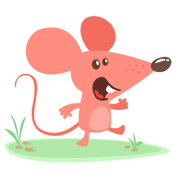Royalty Free Dancing Mouse Clip Art Vector Images And Illustrations Istock
