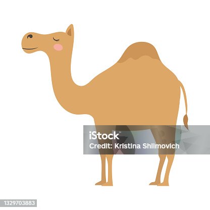 istock Cute cartoon one humped camel, flat style illustration. 1329703883