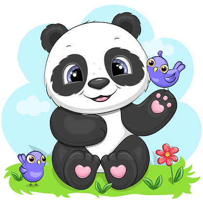 Cute cartoon panda with birds.