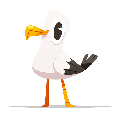 Cute cartoon seagull vector isolated illustration