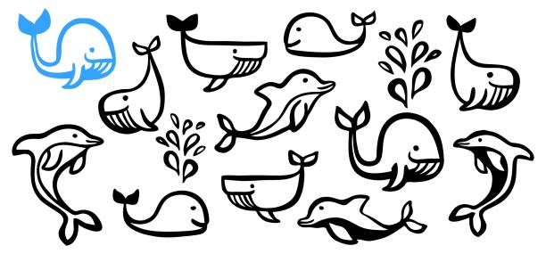 illustrations, cliparts, dessins animés et icônes de ensemble mignon de dessin animé des baleines et des dauphins main peinte avec le pinceau d'encre - event
