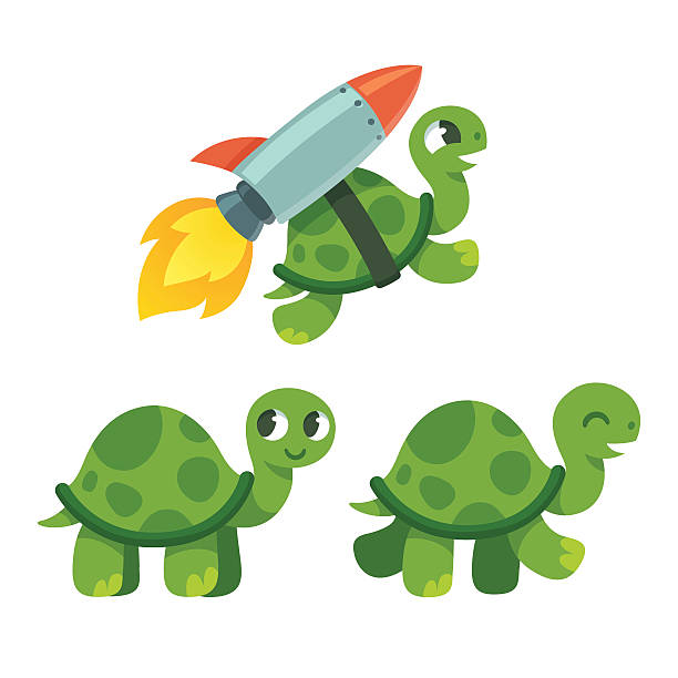 Cute cartoon turtle Cute cartoon turtle set. Standing, walking and rocket flying. Funny vector illustration. turtle stock illustrations