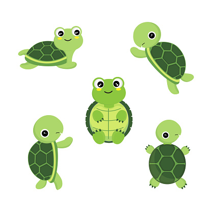 Cute cartoon turtles in different actions .