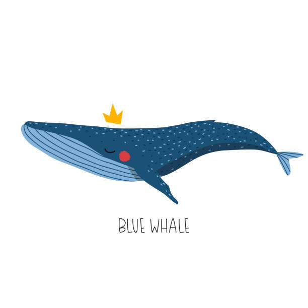 bildbanksillustrationer, clip art samt tecknat material och ikoner med söt tecknad val vektor illustration - blue whale