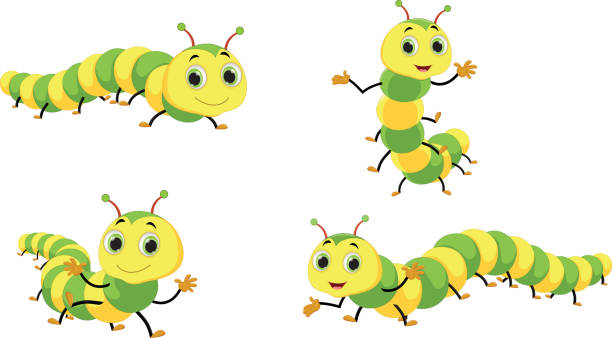 ilustrações, clipart, desenhos animados e ícones de caterpillar bonito dos - lagarta