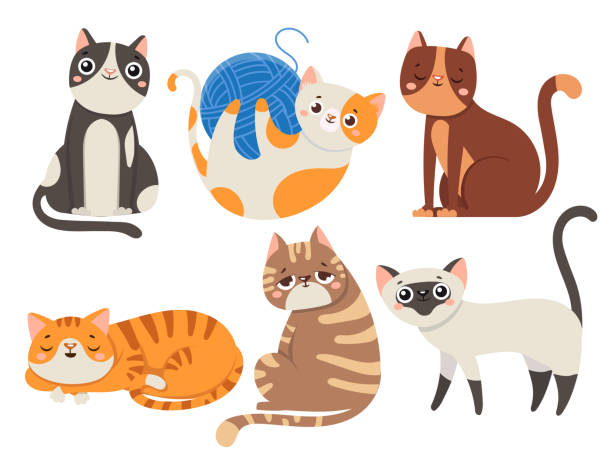 Cute cats. Fluffy cat, sitting kitten character or domestic animals isolated vector illustration collection Cute cats. Fluffy cat, sitting kitten character or domestic animals. Happy funny playful and sleep kitty cats emotion. Cartoon feline isolated icons vector illustration collection domestic cat stock illustrations