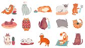 Cute cats. Funny cat in box, adorable sleeping kitty and fat cat in sweater vector illustration set. Domestic kitten lifestyle. Humorous pet working on laptop, doing yoga, listening to music stickers
