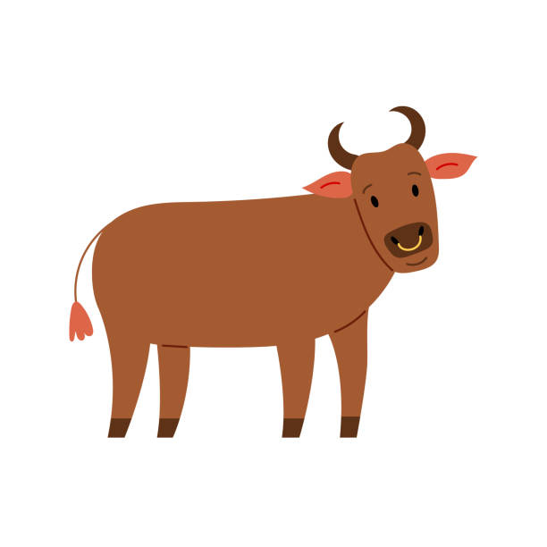 Cute character bull hand draw Cute character bull hand draw brown cow stock illustrations