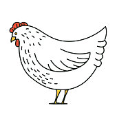 istock Cute Chicken Icon On A Transparent Background 1362398491
