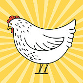 istock Cute Chicken Icon On A Yellow Sunburst Background 1362398496