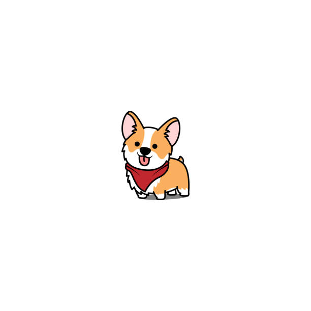 stockillustraties, clipart, cartoons en iconen met schattig corgi dog glimlachen, vectorillustratie - hondje