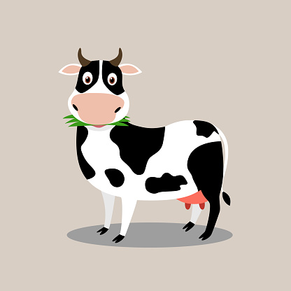 Cute cow character cartoon eat grass - Vector illustration