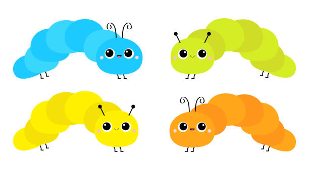 Cute crawling catapillar bug set. Caterpillar insect icon. Cartoon funny kawaii baby animal character. Colorful bright yellow blue green orange color. Flat design. White background. Isolated. Cute crawling catapillar bug set. Caterpillar insect icon. Cartoon funny kawaii baby animal character. Colorful bright yellow blue green orange color. Flat design. White background. Isolated. Vector animal antenna stock illustrations