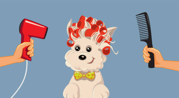 Cute Dog at Pet Spa Grooming Salon Vector Cartoon Pet barbershop concept banner illustration yorkie haircuts stock illustrations