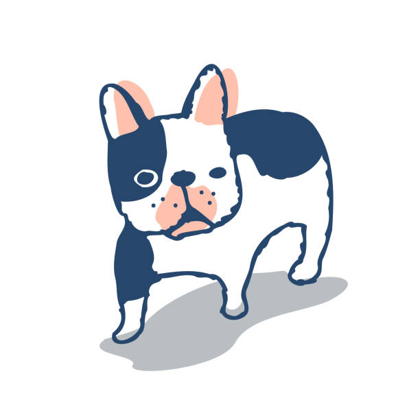 bildbanksillustrationer, clip art samt tecknat material och ikoner med cute dog illustration, french bulldog - hundens år