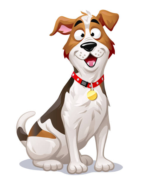 Cute Dog- Jack Russell Terrier Vector illustration of a cheerful Jack Russell Terrier with its mouth open, looking at the camera, isolated on white. dog clipart stock illustrations