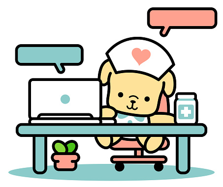Cute dog nurse sitting at her desk using a laptop and typing