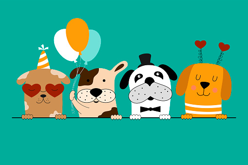 Cute dogs celebrate birthday party.