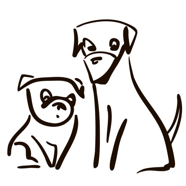 stockillustraties, clipart, cartoons en iconen met schattige honden hoofdlijn tekeningen tekening - twee dieren