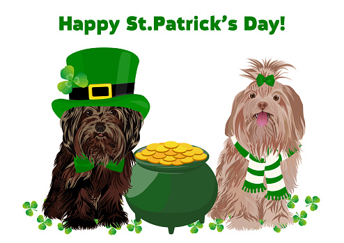 Cute dogs in leprechaun costume with pot of gold. Happy St. Patrick's Day. Pets, St. Patrick's Day holiday, Irish folklore theme banner, greeting card.