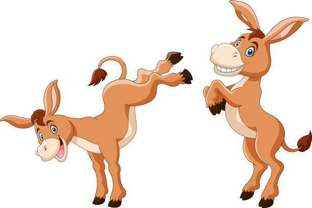 Cute donkey cartoon a smile Vector illustration of Cute donkey cartoon a smile donkey teeth stock illustrations
