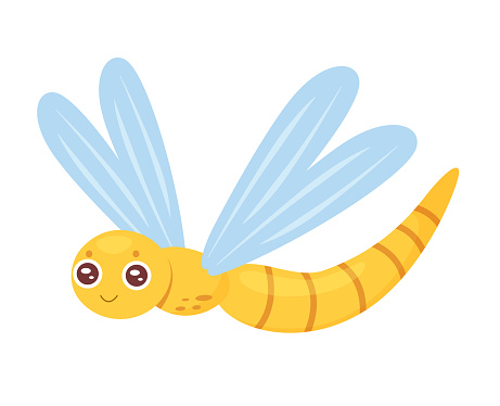 Cute dragonfly insect