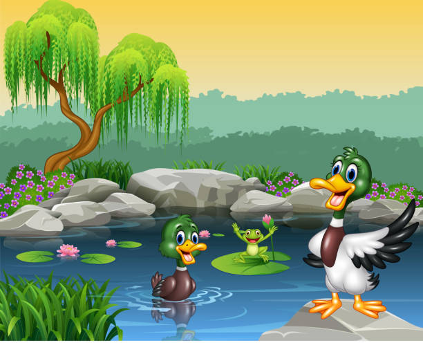 Cute ducks swimming on the pond and frog Illustration of Cute ducks swimming on the pond and frog  duck pond stock illustrations