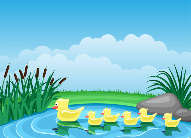 Cute ducks swimming on the pond. Illustration with cute ducks swimming on the pond. pond stock illustrations