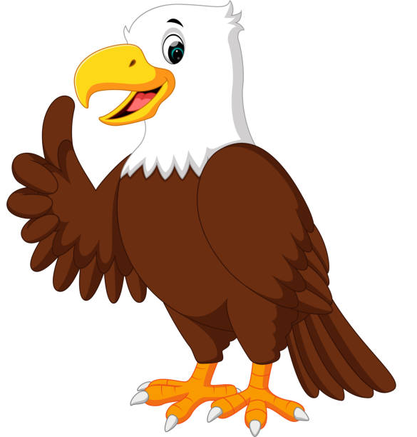 stockillustraties, clipart, cartoons en iconen met cute eagle cartoon - eagle cartoon