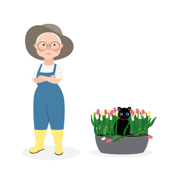 Cute elderly woman in overalls and hat has her arms crossed over her chest and is angry at her pet black cat. Cat broke tulips in flower bed. Vector stock hand-drawn illustration isolated on white background. Cute elderly woman in overalls and hat has her arms crossed over her chest and is angry at her pet black cat. Cat broke tulips in flower bed. Vector stock hand-drawn illustration isolated on white cartoon of a wrinkled old lady stock illustrations