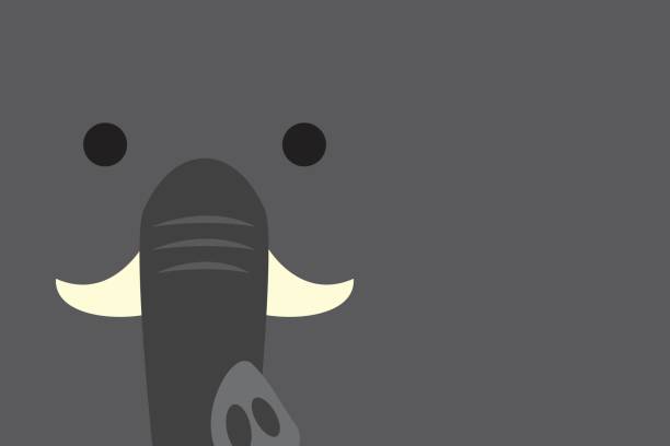 Cute elephant head Cute elephont head on grey background with copy space elephant trunk stock illustrations
