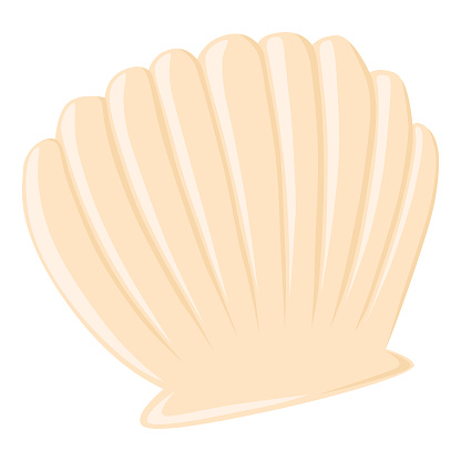 Cute empty seashell flat vector isolated illustration