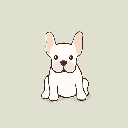 Cute Fawn French Bulldog vector illustration