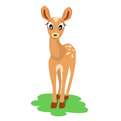 Cute fawn standing on the grass, isolated on a white background.Vector illustration can be used in children's textiles, postcards, notebook covers.