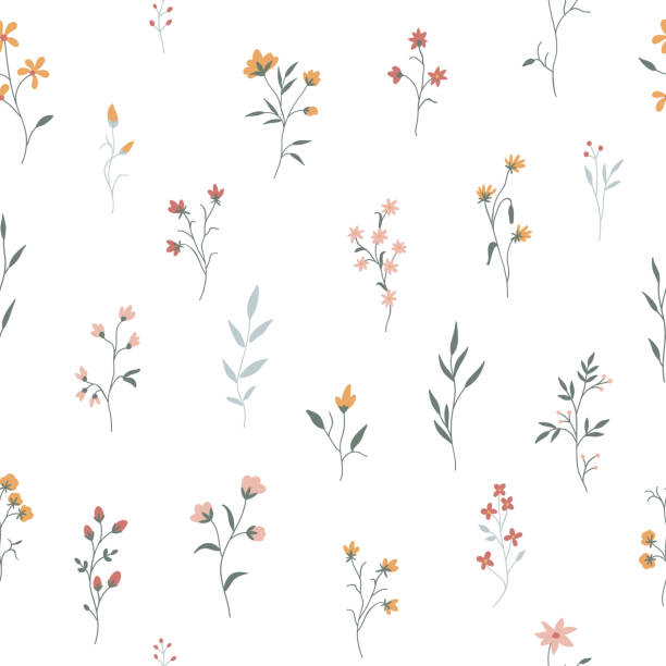 Cute floral pattern. Seamless background Seamless pattern with cute flowers and plants on a transparent background. Vector illustration for wallpapers, cards or fabric. fragility stock illustrations
