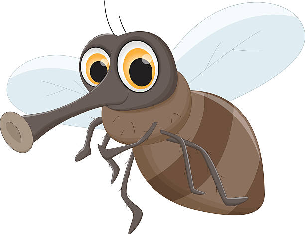 Royalty Free Housefly Clip Art, Vector Images & Illustrations - iStock