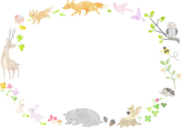 https www istockphoto com jp e3 82 a4 e3 83 a9 e3 82 b9 e3 83 88 e5 8c 97 e6 b5 b7 e9 81 93 e5 8b 95 e7 89 a9