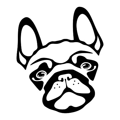Cute french bulldog face sticker. Kind outline of domestic dog with cute muzzle