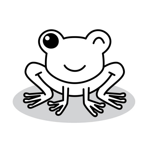 Cute Frog Doodle 5 Vector illustration of a hand drawn black and white frog against a white background. tree frog drawing stock illustrations