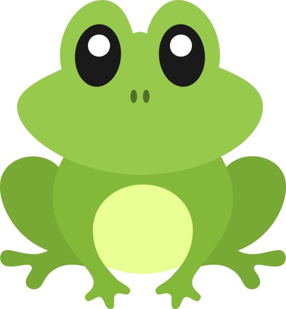 Cute Frog Vector Illustration Cute, colorful, cartoon frog vector illustration cute frog stock illustrations
