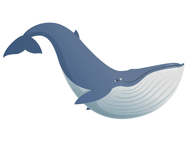 bildbanksillustrationer, clip art samt tecknat material och ikoner med cute funny blue whale - blue whale