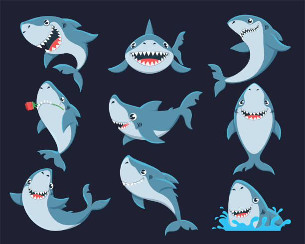 Cute funny shark flat vector illustrations set Cute funny shark flat vector illustrations set. Adorable sealife stickers pack. Smiling underwater animal with sharp teeth isolated on black background. Humorous fish, happy ocean predator shark stock illustrations