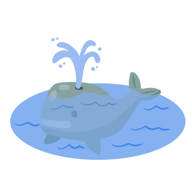 illustrations, cliparts, dessins animés et icônes de mignonne drôle de baleine avec fontaine d’eau dans la mer ou l’océan. animal marin. drôle de cachalot bleu. enfants dessinant dans le style scandinave - event