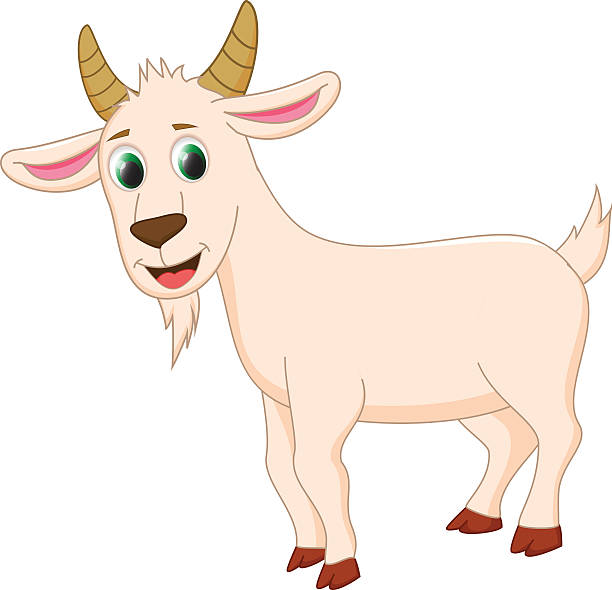 Cute Cartoon Gray Goat Mammal Farm Animal Vector Illustrations, Royalty ...