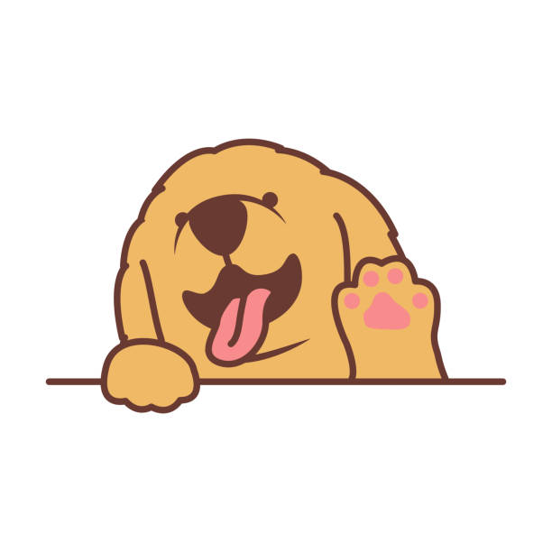 Cute golden retriever puppy waving paw cartoon, vector illustration Cute golden retriever puppy waving paw cartoon, vector illustration golden retriever stock illustrations