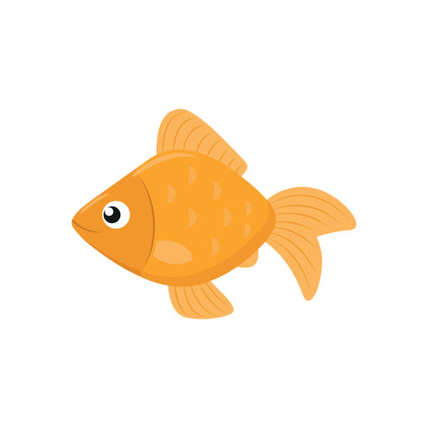 Cute goldfish icon Illustration of a cute goldfish on a white background cartoon fish stock illustrations