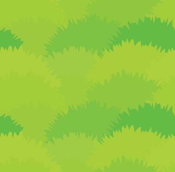 bildbanksillustrationer, clip art samt tecknat material och ikoner med söt grön äng gräs sömlösa mönster. gröna växtbaserade buskar textur - moss
