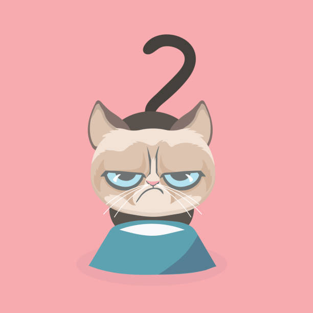 Grumpy Cat Illustrations, Royalty-Free Vector Graphics & Clip Art - iStock
